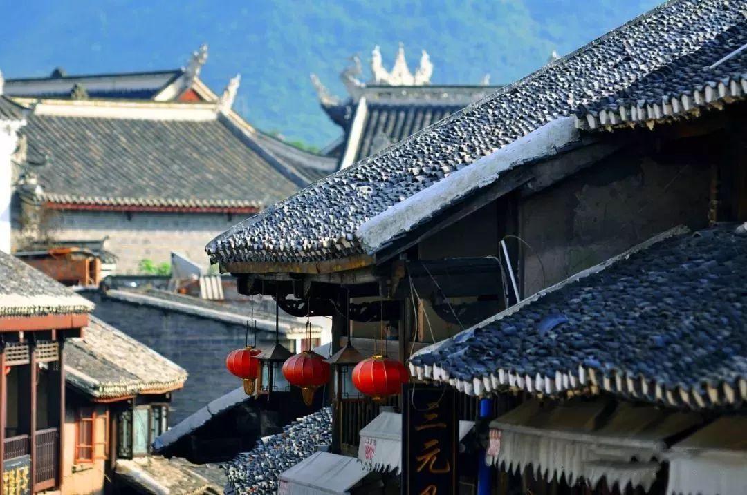 仓鼠为什么只生了一只？